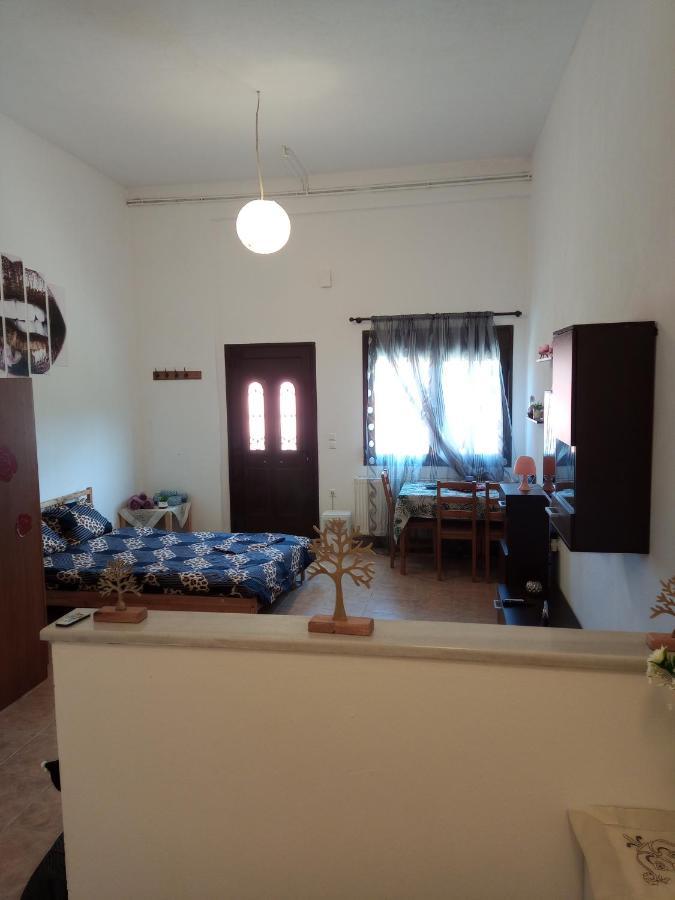 Tzoumerka Panorama Pramanta Dış mekan fotoğraf